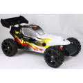 2013 quente vender, carro rc 1:5, nitro buggy, super crocodilo da fábrica.